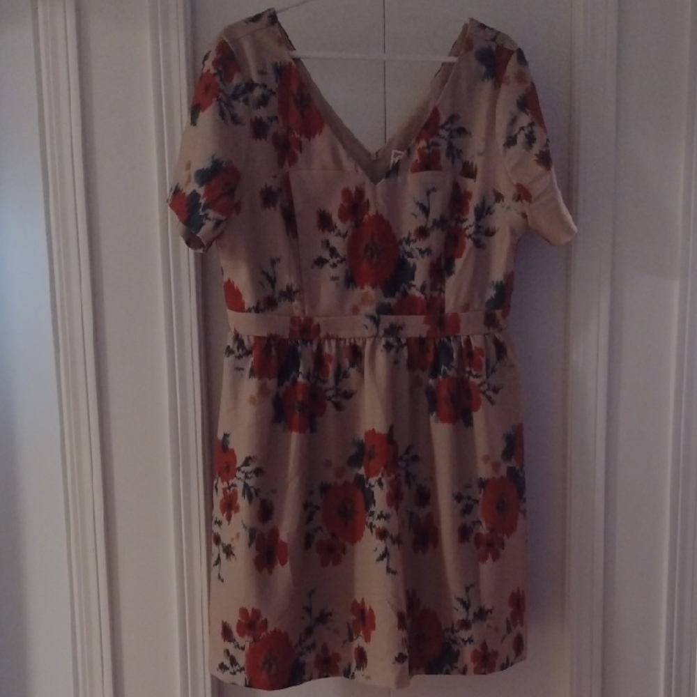 Pink Martini Cream Floral Sleeve dress Ptp 22"